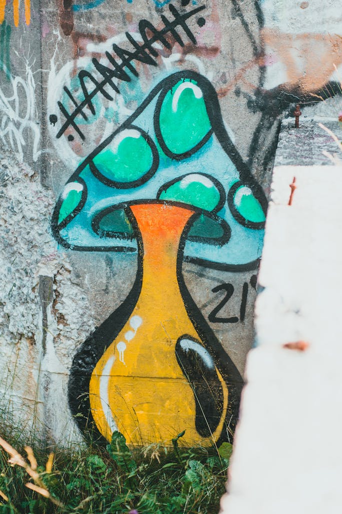 Colorful mushroom graffiti art on a weathered concrete wall showcasing urban creativity.